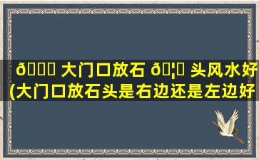 🍀 大门口放石 🦉 头风水好吗(大门口放石头是右边还是左边好)